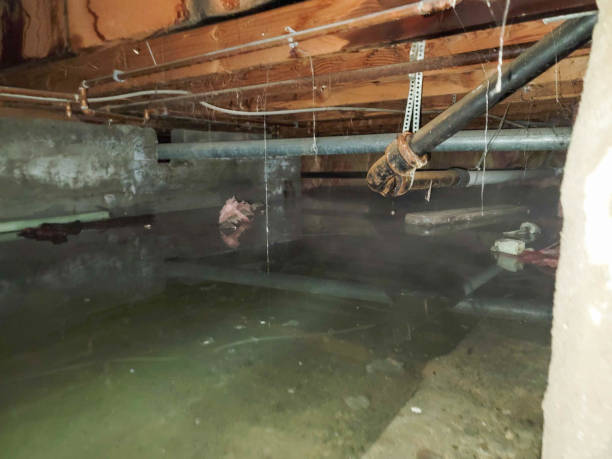 Best Residential water damage restoration  in Lla Lla, WA