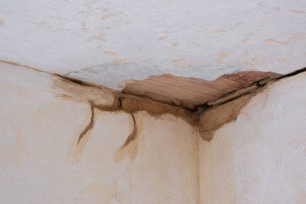 Best Water damage restoration experts  in Lla Lla, WA