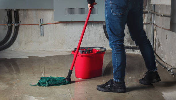 Best 24-hour water damage restoration  in Lla Lla, WA