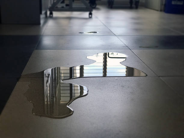 Sewage cleanup and water damage restoration in Walla Walla, WA