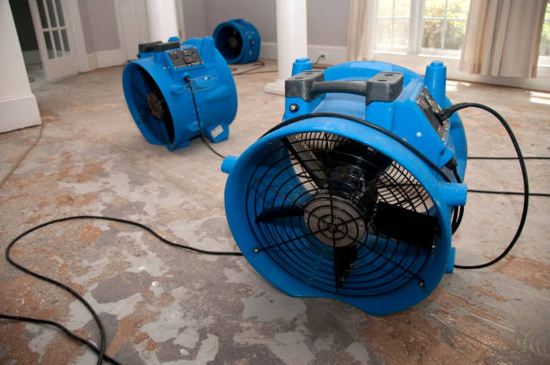 Best Water damage repair service  in Lla Lla, WA