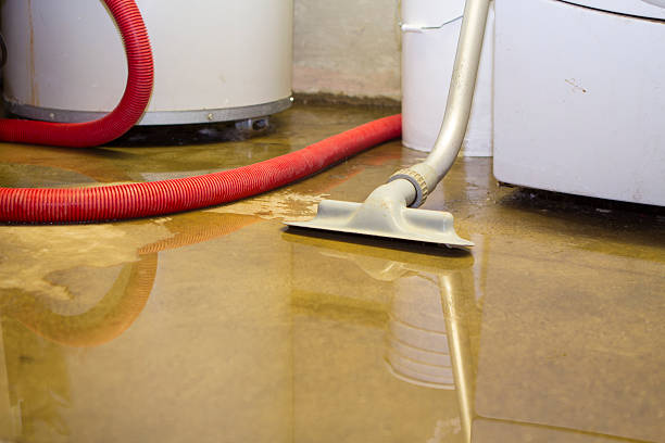 Best Carpet water damage restoration  in Lla Lla, WA
