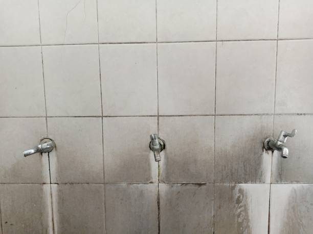 Best Local water damage restoration  in Lla Lla, WA