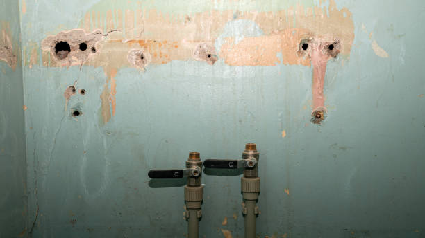 Best Emergency water damage restoration  in Lla Lla, WA