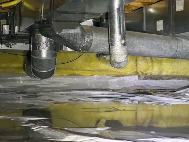 Best Mold removal after water damage  in Lla Lla, WA
