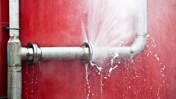 Best Professional water damage repair  in Lla Lla, WA