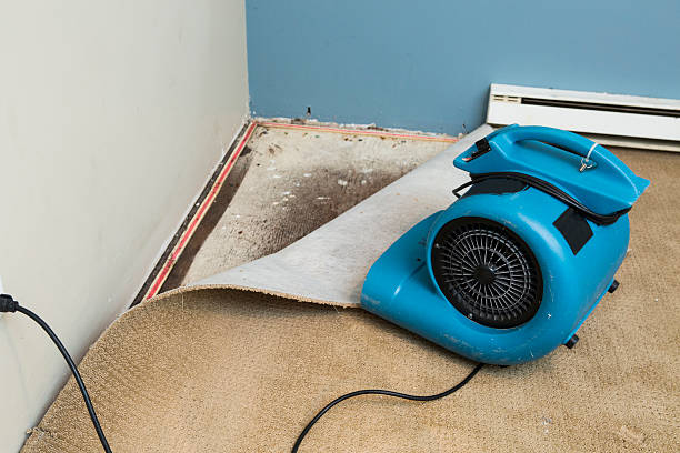 Best Water damage restoration near me  in Lla Lla, WA